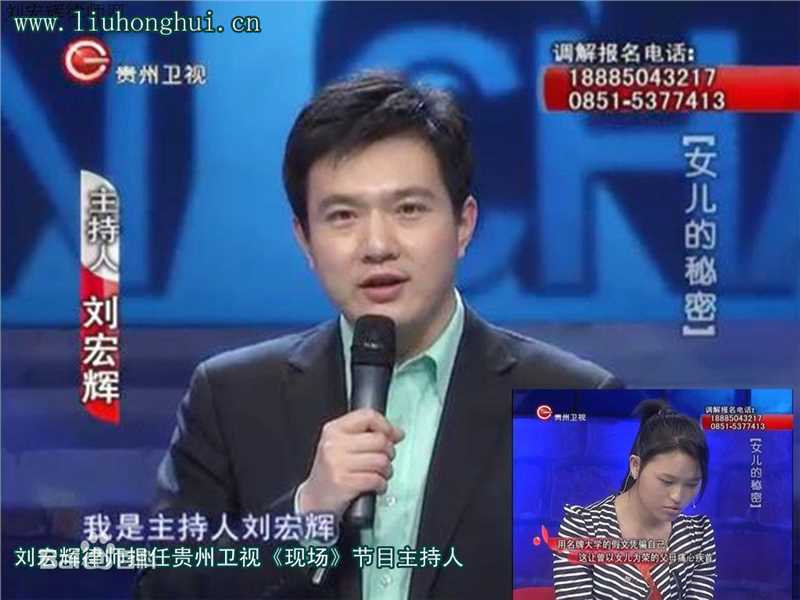 《刘宏辉》封面图片