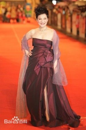 张小燕(all Swallow)红毯图片图集