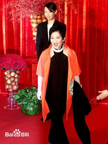张小燕(all Swallow)红毯图片图集