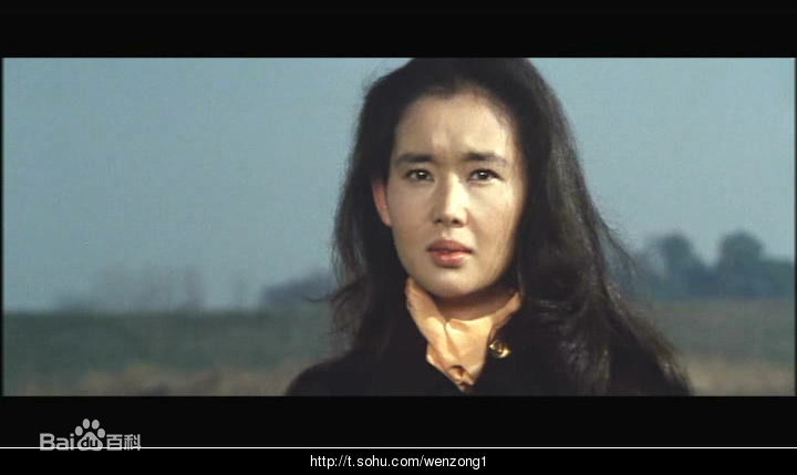 最新中野良子(Ryoko Nakano)壁纸