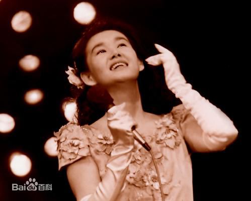 最新中野良子(Ryoko Nakano)壁纸