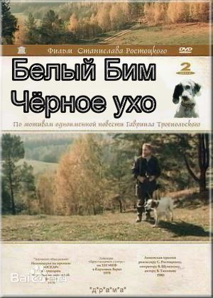 高清吉洪诺夫(Tikhonov，Vyacheslav)在1977《白比姆黑耳朵》中的图集