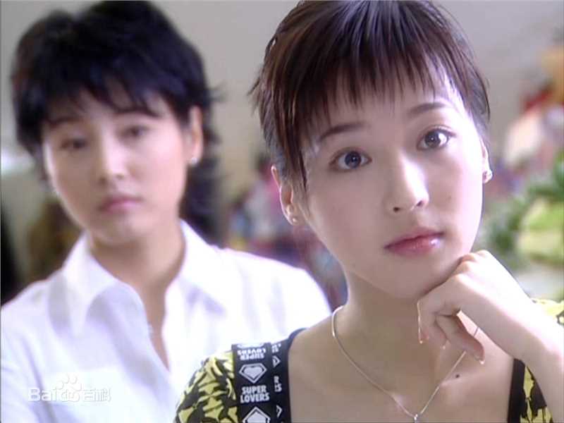 2003年—2006年参演作品