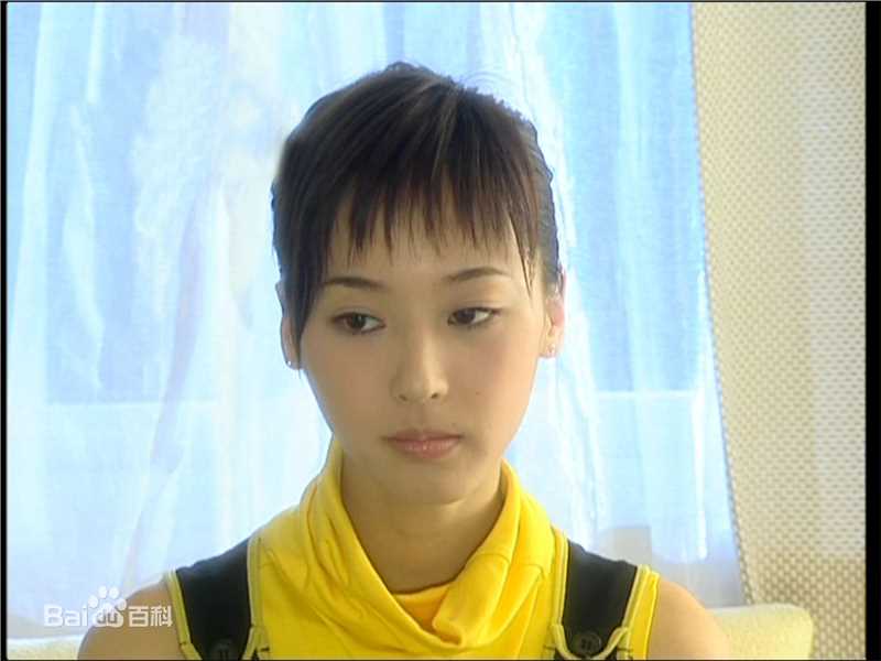 2003年—2006年参演作品