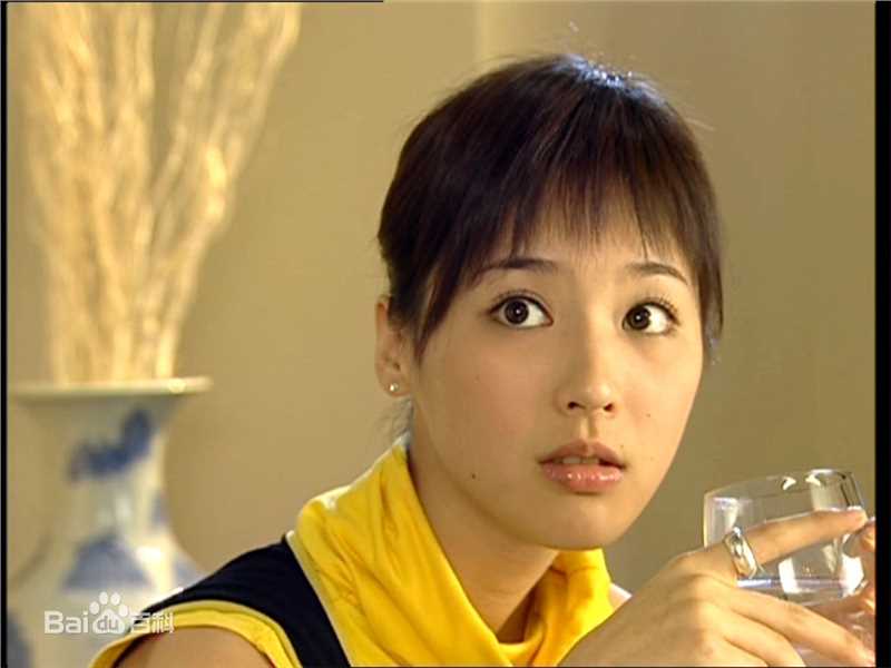 2003年—2006年参演作品