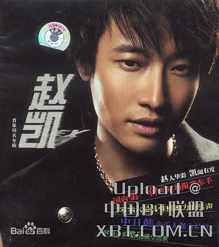 《赵凯》封面图片