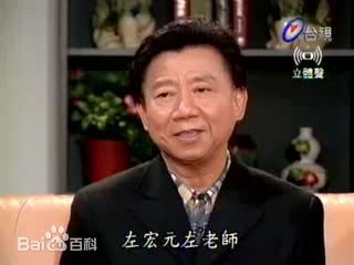 《左宏元》封面图片