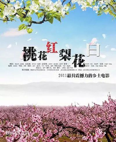 《张毅然》封面图片