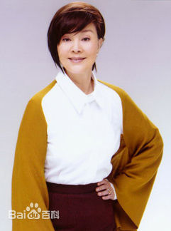 归亚蕾(Kuei Ya-Lei)影视最全剧照