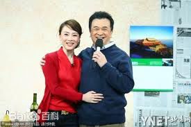 陈数广告代言壁纸壁纸