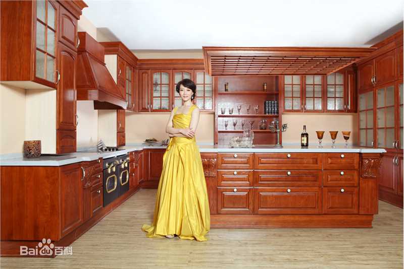 陈数广告代言壁纸壁纸