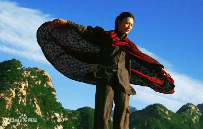 陈数在《铁梨花》铁梨花中的