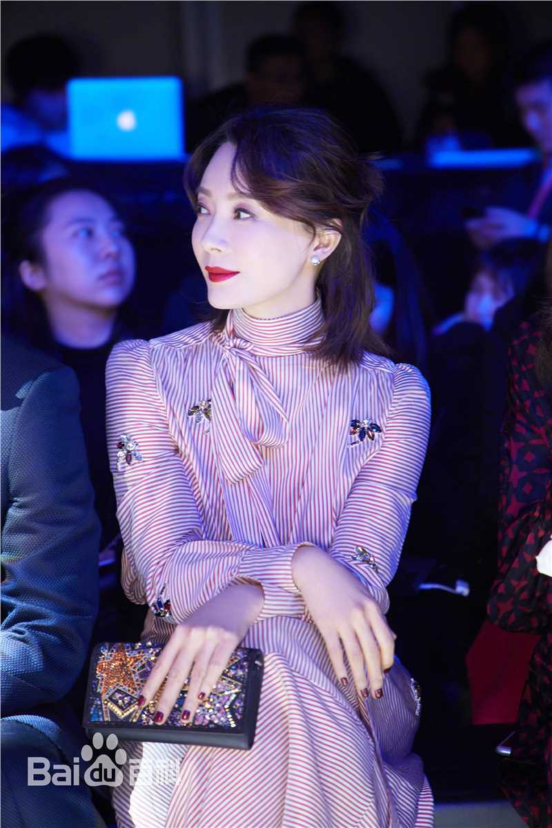 陈数精选活动图册