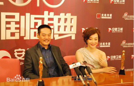 陈数国剧盛典前后照片