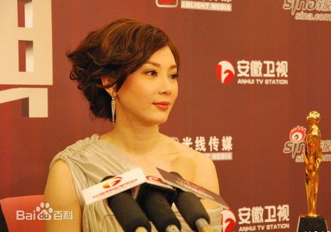 陈数国剧盛典前后照片