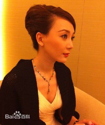 陈数上海BVLGARI活动性感图片图集