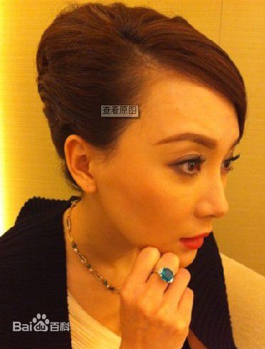 陈数上海BVLGARI活动性感图片图集