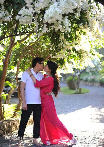 最新陈数精彩图册