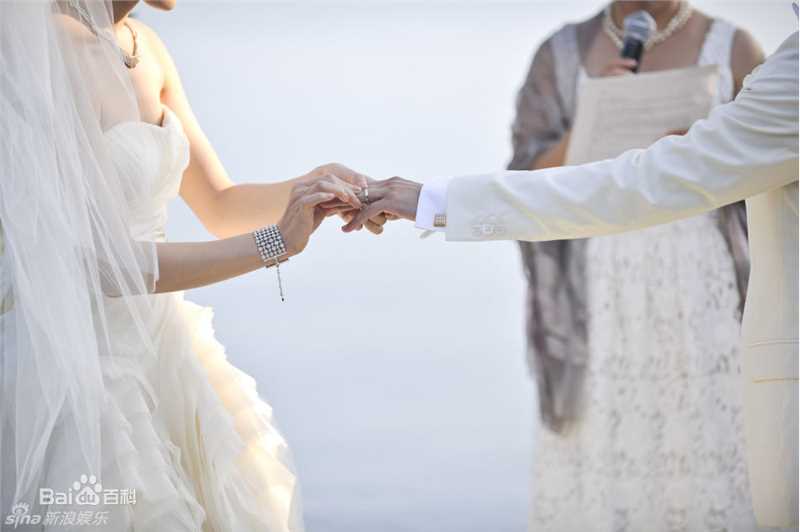 精选陈数精彩图册