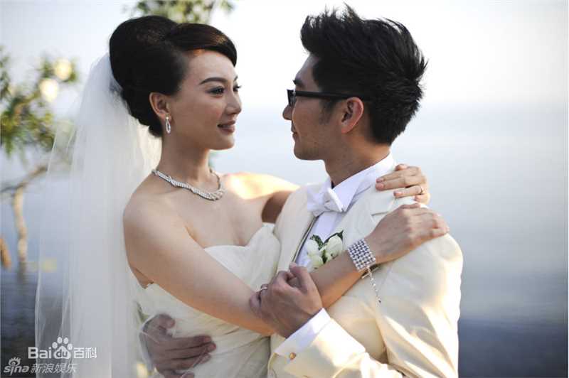 精选陈数精彩图册