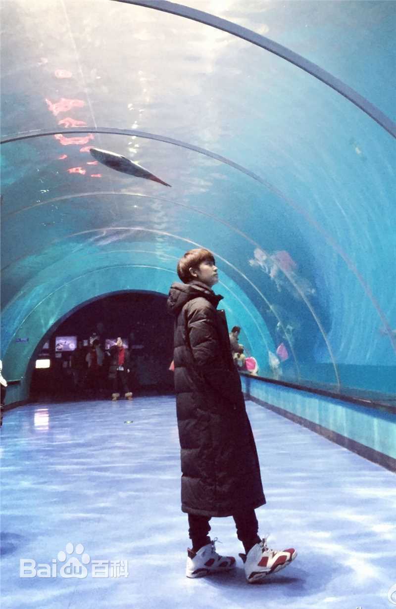 任嘉伦(Allen)性感图片图集