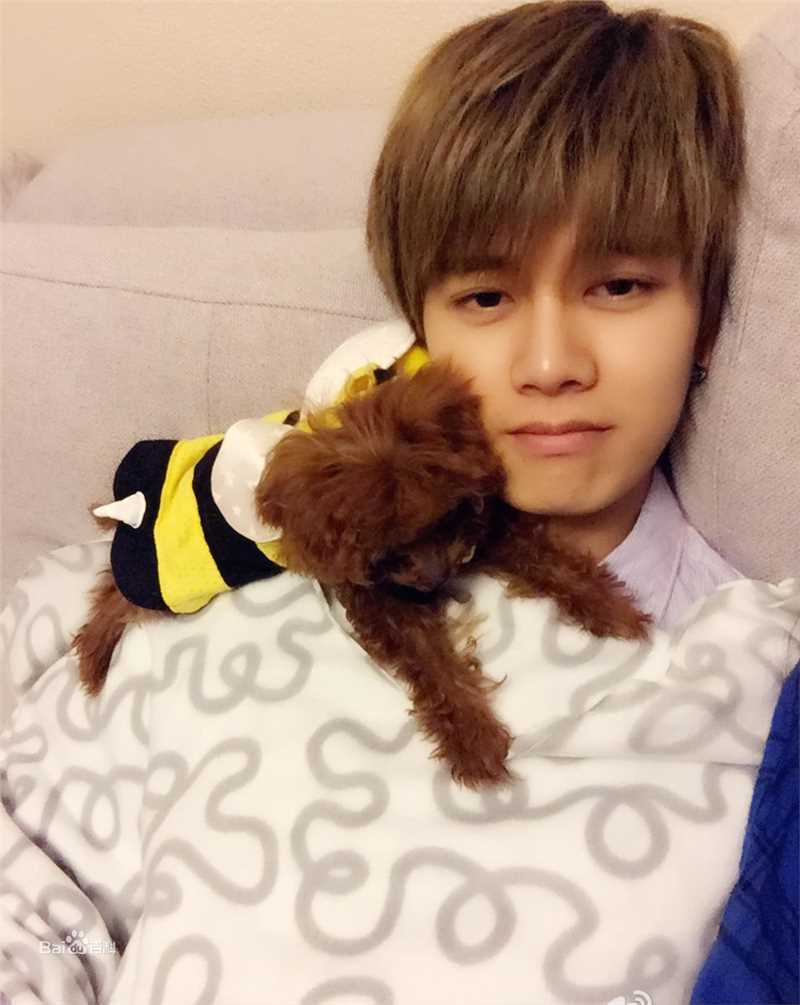 任嘉伦(Allen)性感图片图集