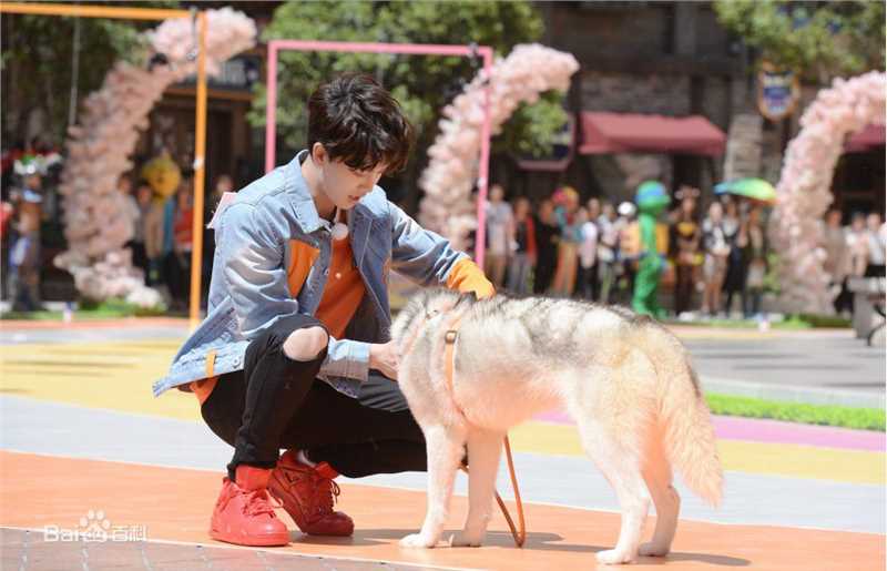 任嘉伦(Allen)奔跑吧性感图片图集