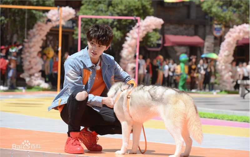 任嘉伦(Allen)奔跑吧性感图片图集