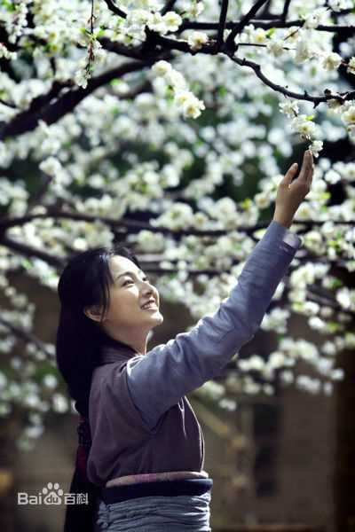 叶青(Julia)电影《绣春刀》高清剧照