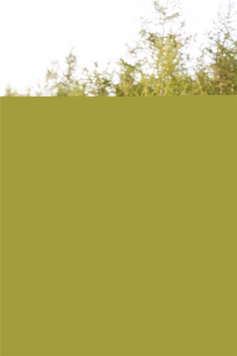 叶青(Julia)高清图集