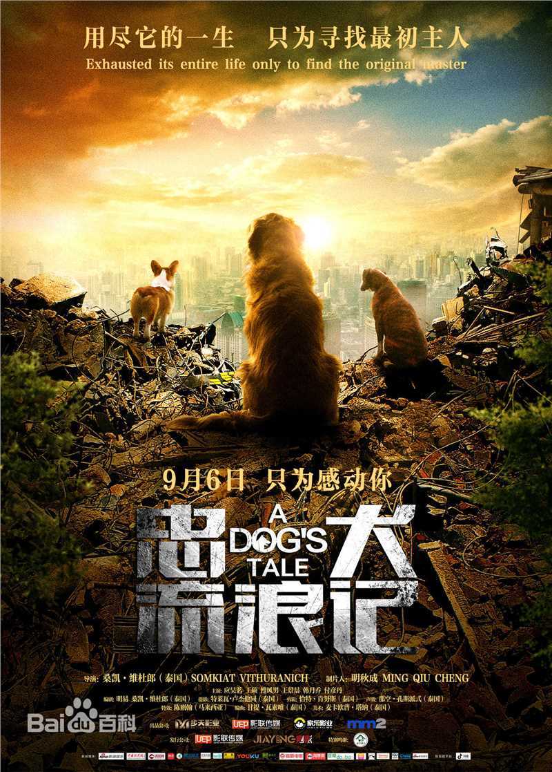 高清应昊茗性感图片