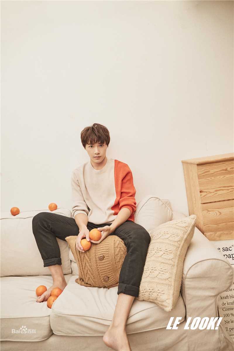 黄圣池LE LOOK乐看图册