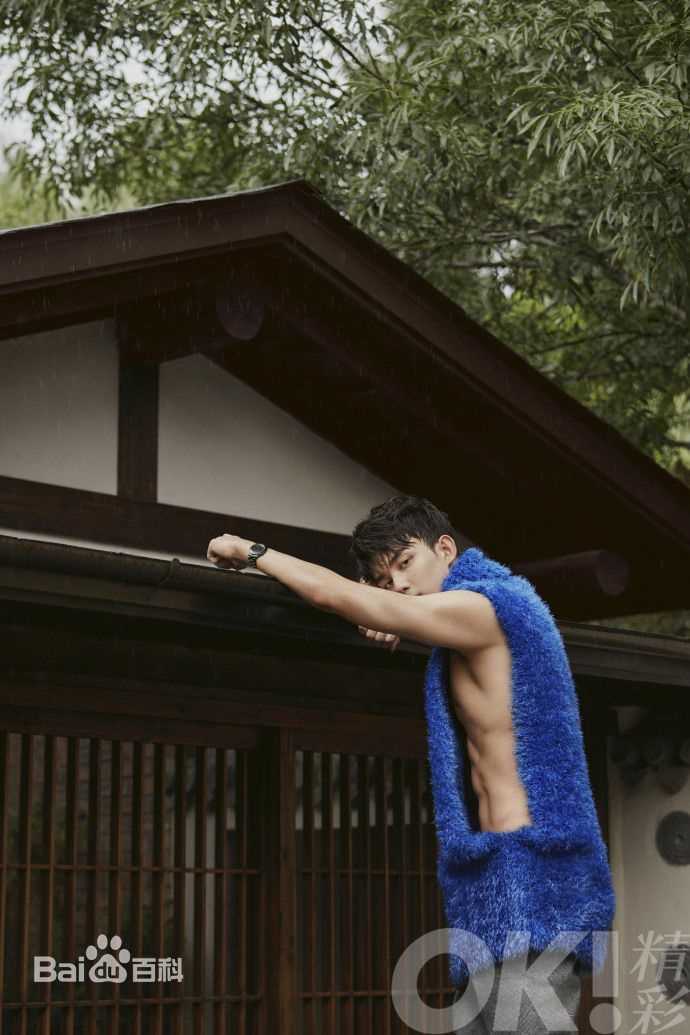 最优质吴磊(Leo)在《精彩OK 》中的相册