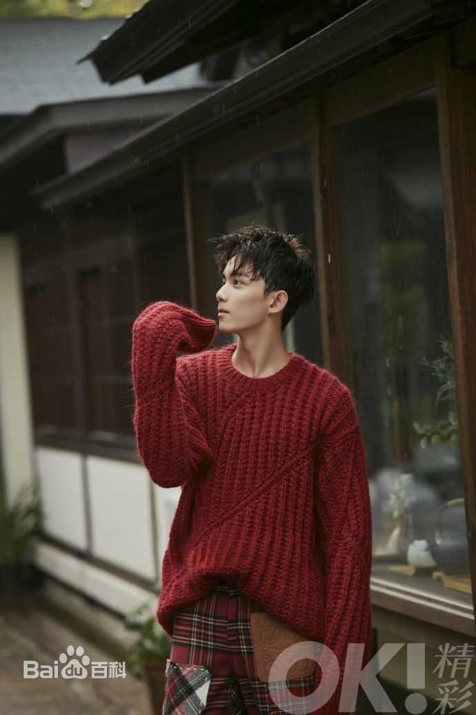 最优质吴磊(Leo)在《精彩OK 》中的相册