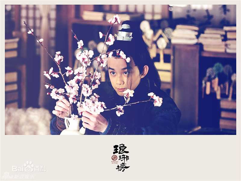 最新吴磊(Leo)在《琅琊榜》饰飞流中的壁纸