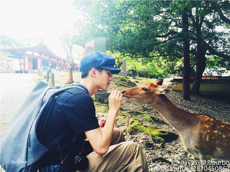刘昊然生活照壁纸壁纸