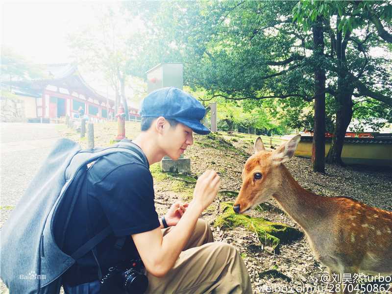 刘昊然生活照壁纸壁纸