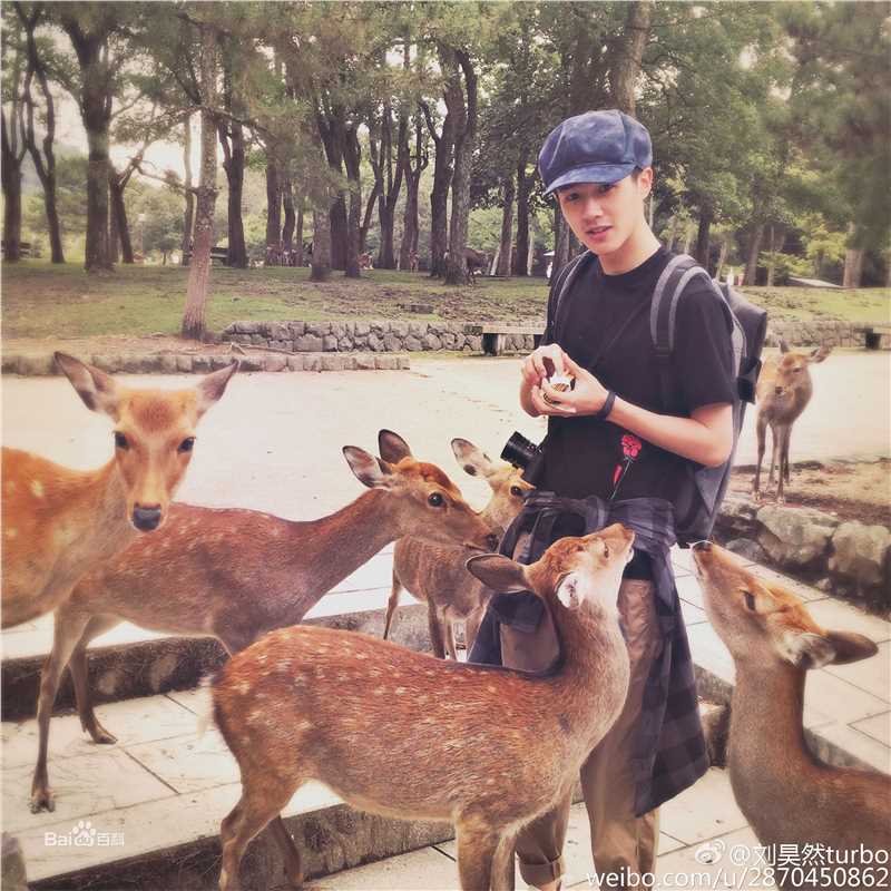 刘昊然生活照壁纸壁纸