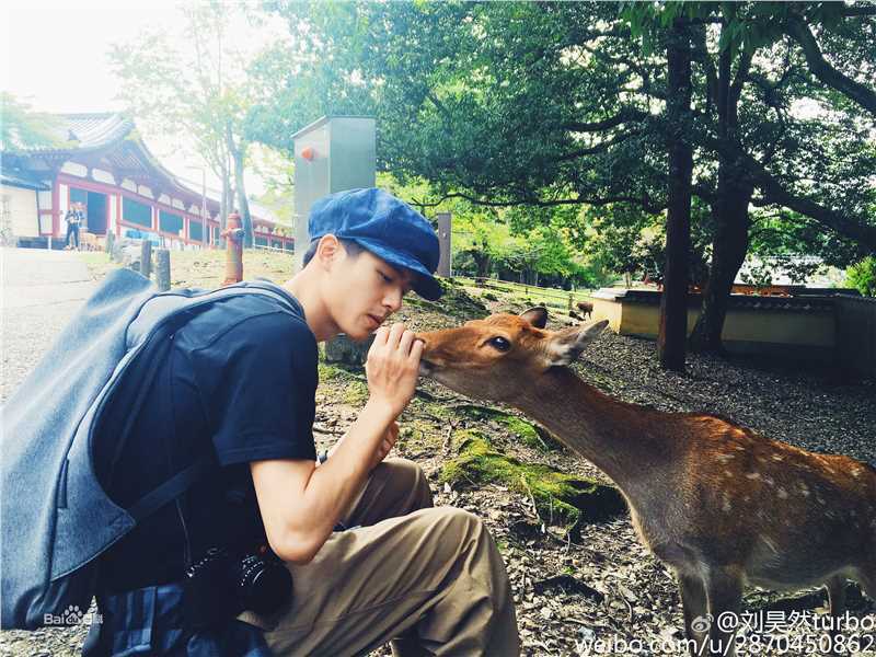 刘昊然生活照壁纸壁纸