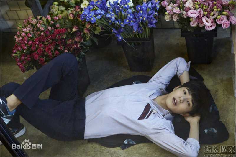 刘昊然高清_杂志图集