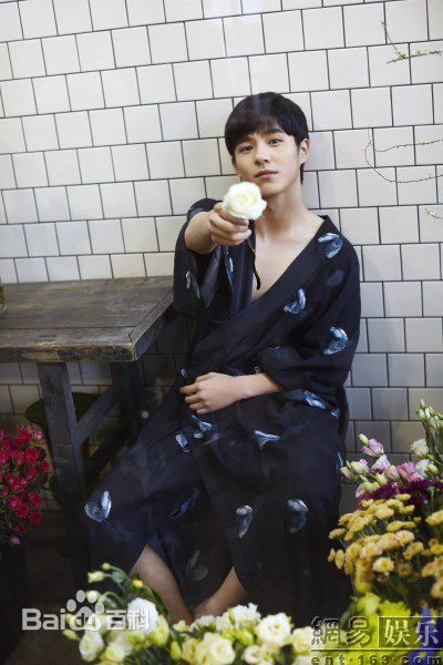 刘昊然高清_杂志图集