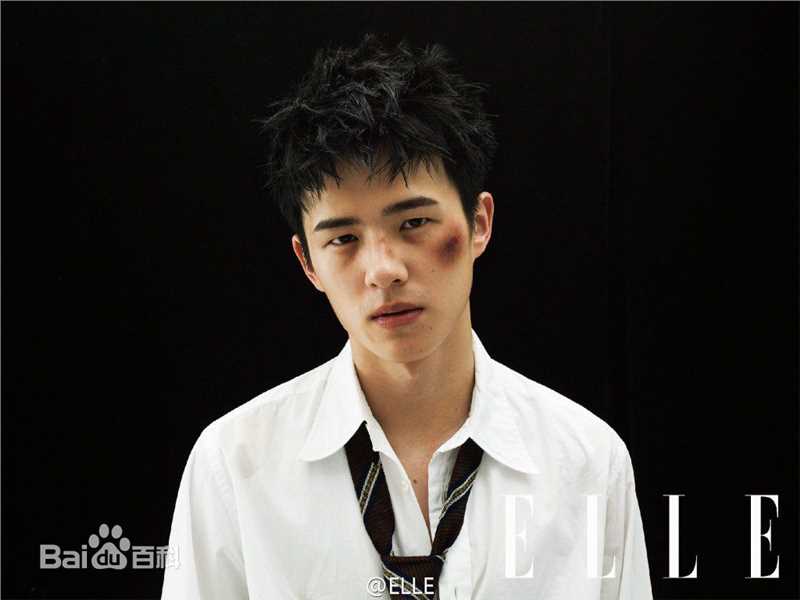 刘昊然高清_杂志图集