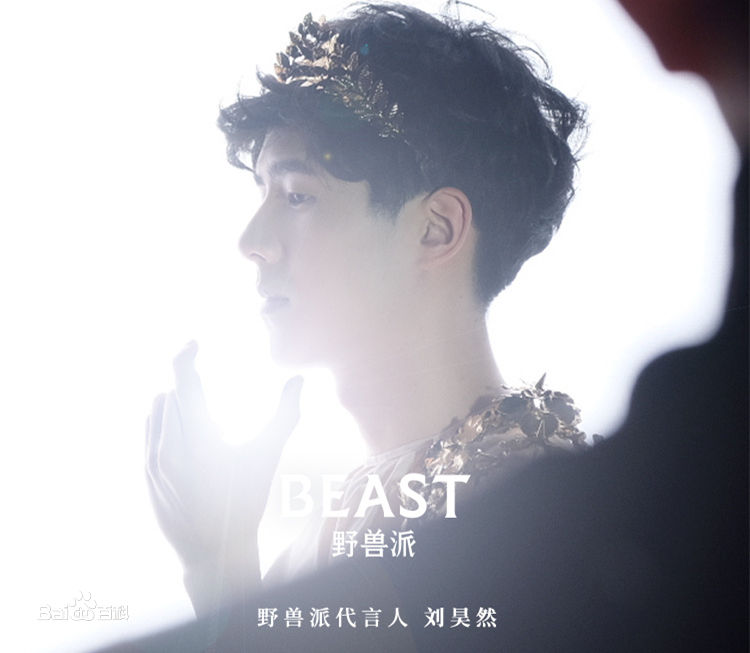 刘昊然广告代言2生活照相册