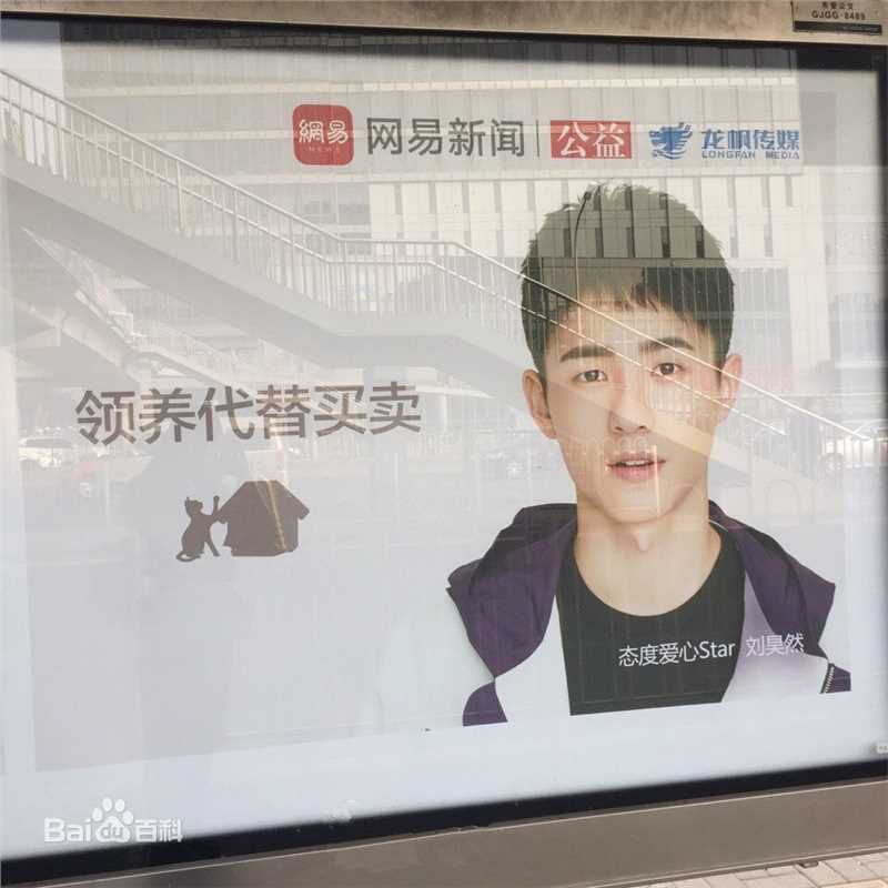 刘昊然-公益慈善图片图册