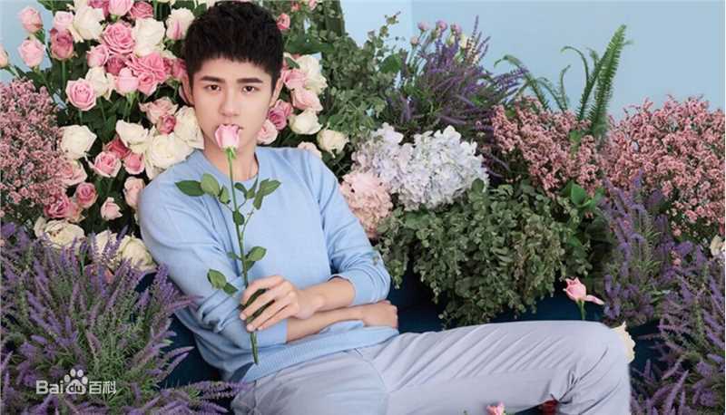 刘昊然-广告代言图片图集