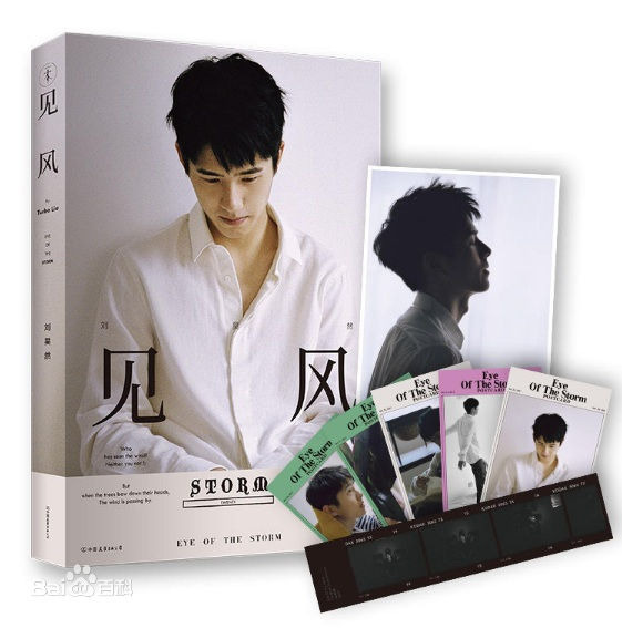 最优质刘昊然在个人首本著作《见风》中的相册