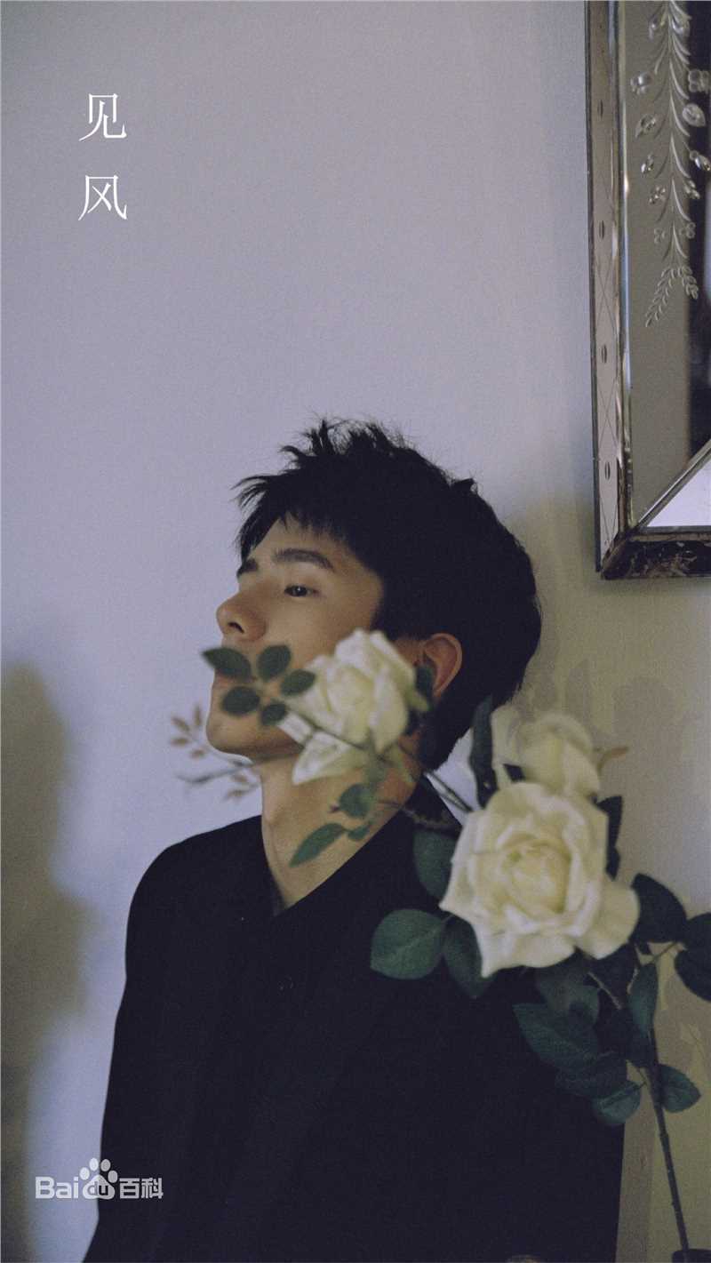 最优质刘昊然在个人首本著作《见风》中的相册