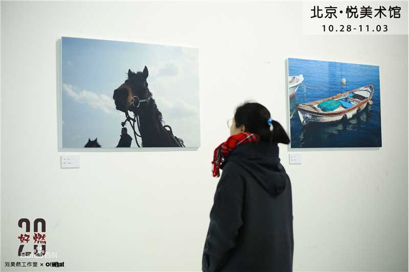 刘昊然个人摄影展壁纸壁纸