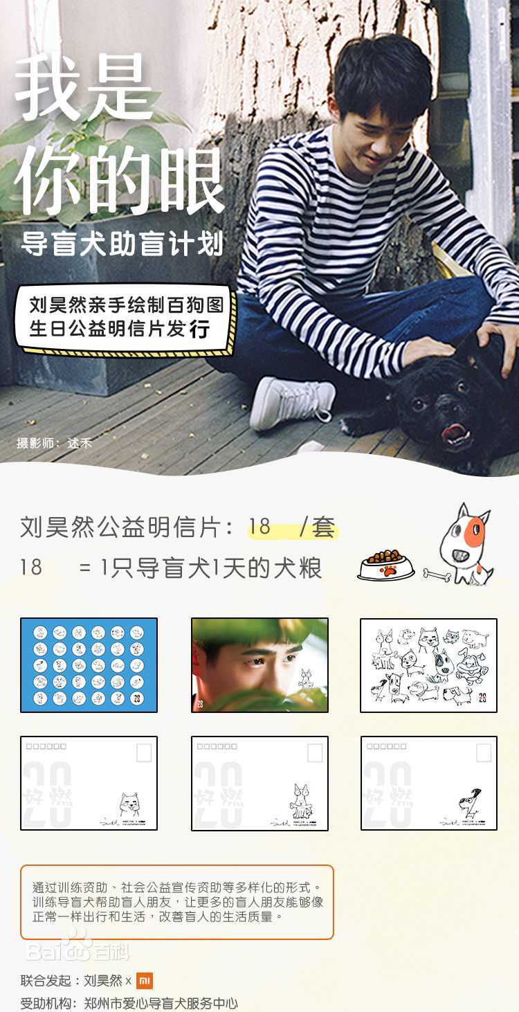 精选刘昊然在《我是你的眼》导盲犬助盲计划中的图册