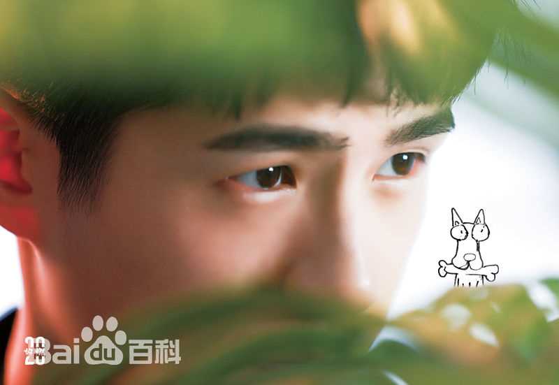 精选刘昊然在《我是你的眼》导盲犬助盲计划中的图册